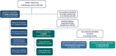 Overview of SERPING1 Variations Identified in Hungarian Patients With Hereditary Angioedema